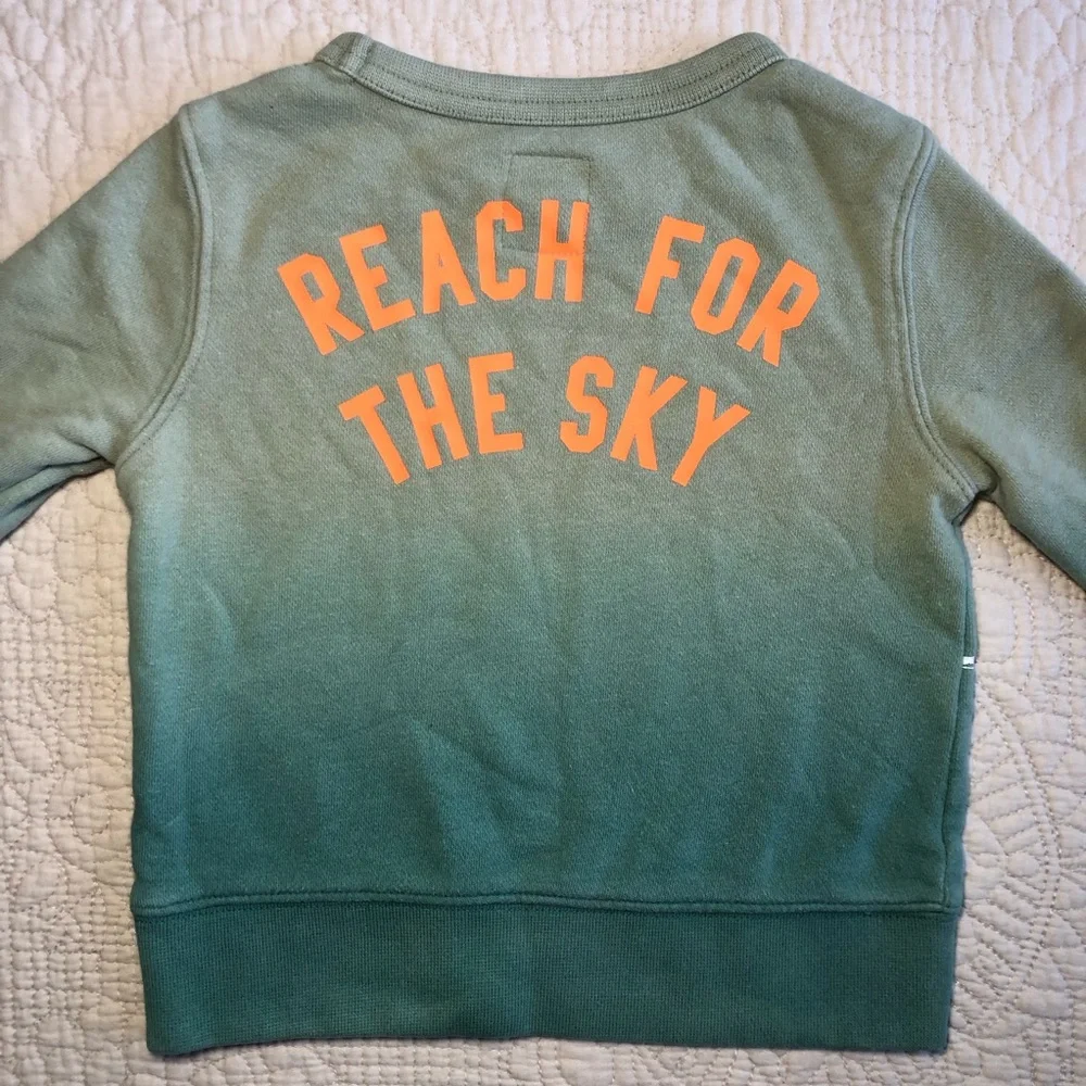 GAP Toddler Green Ombre Dinosaur “Reach for the sky” Sweatshirt Size 18 months
